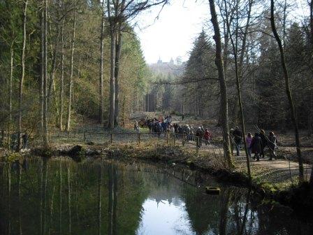 Spiegelung der Martinskirche im Teich
