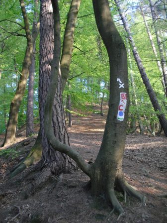 Westlicher Steilhang zum Christenbergplateau