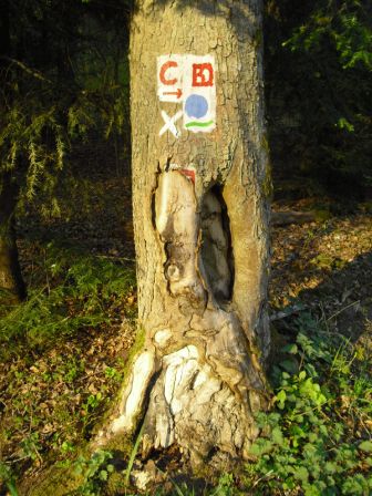 Wegmarkierung Burgwaldpfad und Extratour Christenberg