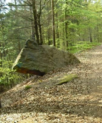 Steinmaus auf dem Weg zum Christenberg