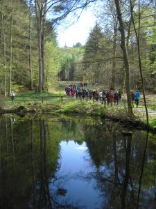 Spiegelteich unterhalb des Christenberges